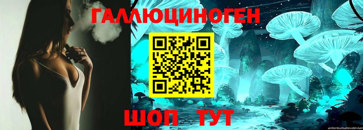 Псилоцибиновые грибы мицелий Элиста