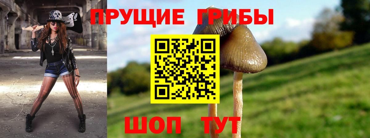Галлюциногенные грибы ЛСД  Псилоцибиновые грибы Psilocybine cubensis  Вход с VPN  наркошоп  Элиста 